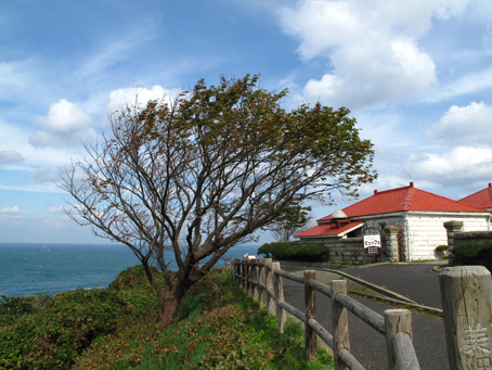 日帰りツーリング 大山方面